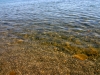 ACQUA