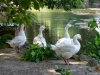 GIARDINI DEL LAGO