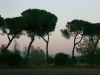 PARCO DI AGUZZANO